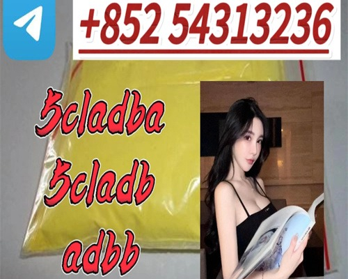 Ogłoszenie - Experienced Supplier ADBB,5cladba,CAS 1119-51-3 High Quality Best Price +852 54313236 - Biała Podlaska - 10,00 zł