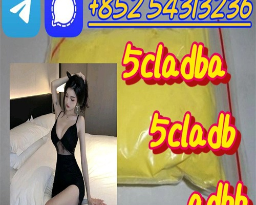 Ogłoszenie - Fast Delivery 5cladb,CAS 1119-51-3,5CLADBA,ADBB +852 54313236 - Bielawa - 10,00 zł