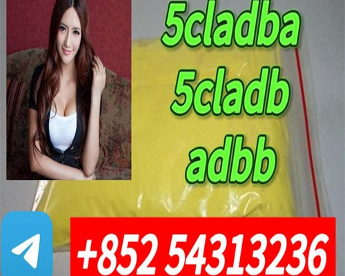 Ogłoszenie - Strong effect 5CLADB ADBB Yellow powder strong potency +852 54313236 - Bielawa - 10,00 zł