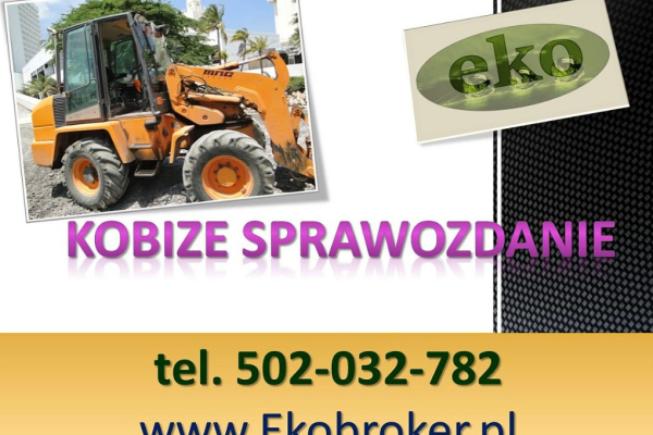 Ogłoszenie - Wprowadzenie raportu, Kobize, cena tel, 502-032-782, poprawa błedów,  wykonanie raportu do KOBiZE - Wrocław
