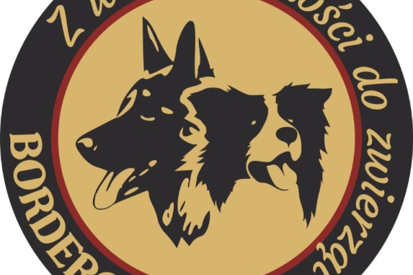 Ogłoszenie - Hodowla BorderGold Border Collie ZKwP FCI - Łódzkie - 1,00 zł
