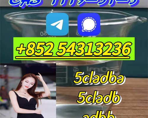 Ogłoszenie - Good service CAS 1119-51-3,5cladba,ADBB,5cladb +852 54313236 - Legnica - 40,00 zł