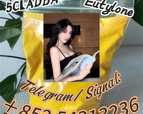 Ogłoszenie - Free sample pmk powder 5CLADB,5cladba,cas 1119-51-3 pmk oil +852 54313236 - Chełm - 20,00 zł
