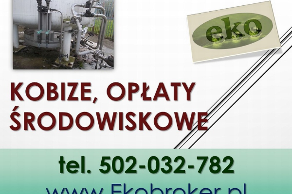 Ogłoszenie - Wprowadzenie raportu, Kobize, cena tel, 502-032-782, poprawa błedów,  wykonanie raportu do KOBiZE - Wrocław
