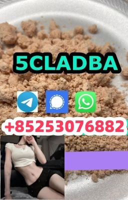 Ogłoszenie - 5cladba Adbb 4fadb Mdmb2201 5cl sgt jwh018 - 5,00 zł