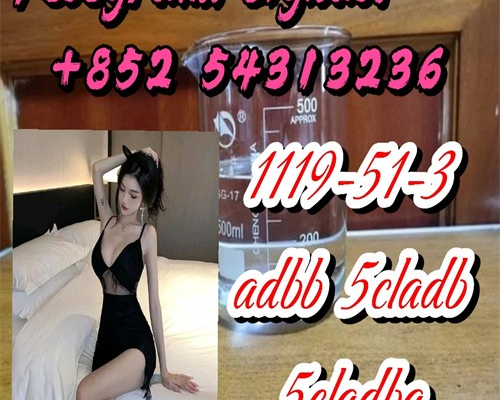 Ogłoszenie - Experienced Supplier ADBB,5cladba,CAS 1119-51-3 High Quality Best Price +852 54313236 - Jelenia Góra - 35,00 zł
