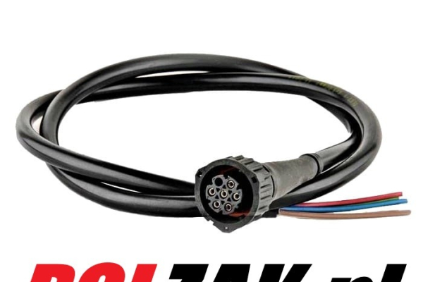 Ogłoszenie - Wtyczka Lampy kostka wiązka tył 6 pinowa Iveco Daily Fiat Ducato Peugeot Boxer Citroen Jumper Renault Master Opel Movano - Skierniewice - 40,00 zł