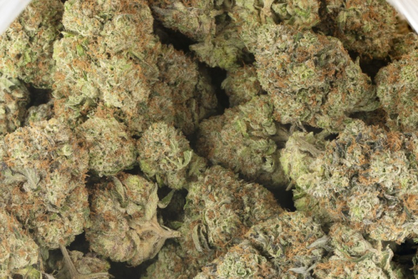 Ogłoszenie - AMNESIA HAZE WEED CALIFORNIA - KRYSZTAŁ 4MMC - PIGUŁY MDMA - KWAS LSD - Wrocław - 1,00 zł