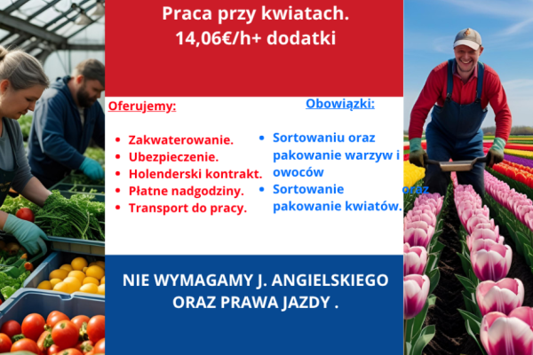 Ogłoszenie - Praca w Holandii – Sortowanie warzyw, owoców i praca przy kwiatach - Katowice