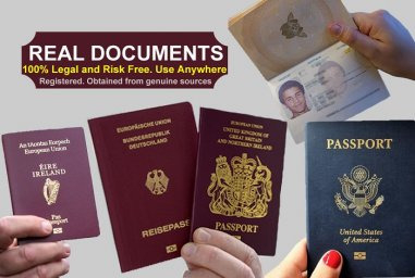 Ogłoszenie - Buy Drivers License, University Degrees and Diplomas,  Financial Documents, Buy Counterfeit bills.