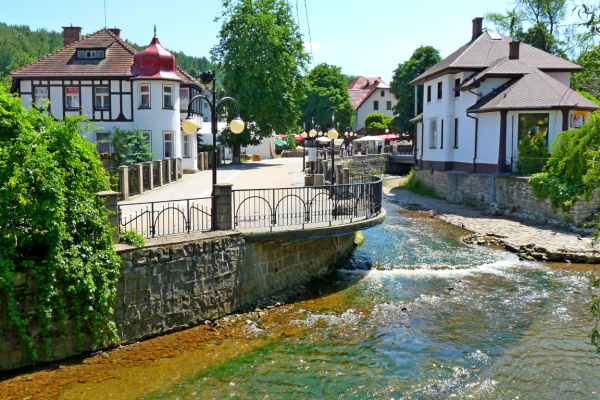 Ogłoszenie - Działka (6000 m2) Polanica-Zdrój - Kłodzko - 590 000,00 zł