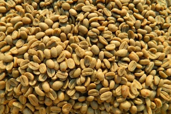 Ogłoszenie - top-quality Ugandan robusta and Arabica coffee beans? Contact +27719755564 - Warmińsko-mazurskie - 887,00 zł