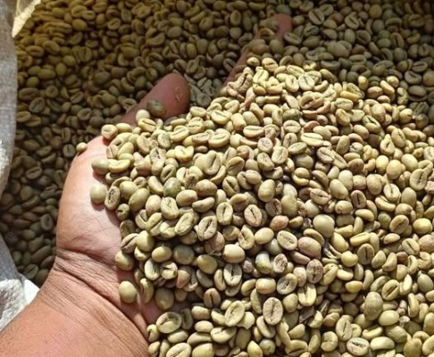 Ogłoszenie - Green Coffee beans (Arabica Coffee) Grade: AA, A, and AB +27719755564 - Małopolskie - 6 678,00 zł