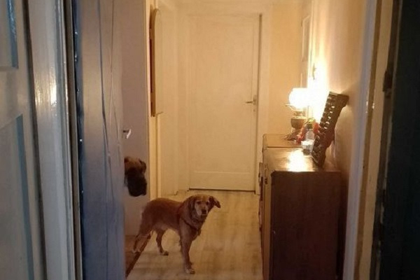 Ogłoszenie - 3pok, 65met, okolice Kolbuszowskiej BALKON/PIWNICA (Wrocław) - Wrocław - 520 000,00 zł