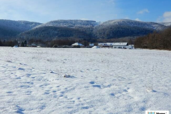 Ogłoszenie - Działka (6000 m2) Polanica-Zdrój - Kłodzko - 590 000,00 zł
