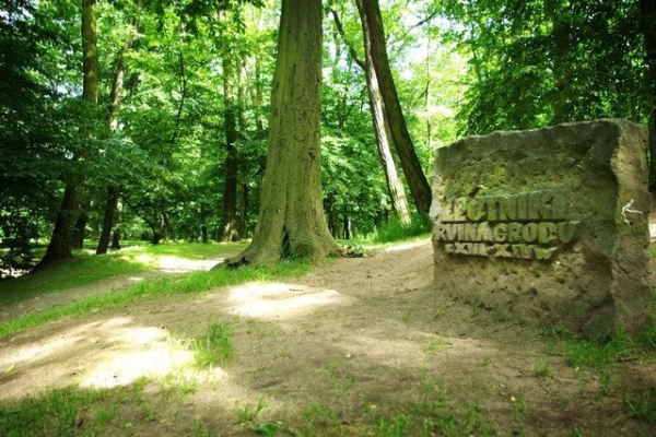 Ogłoszenie - 1pok, 33met, Okolice Majchra PIWNICA/blisko AOW (Wrocław) - Wrocław - 349 999,00 zł