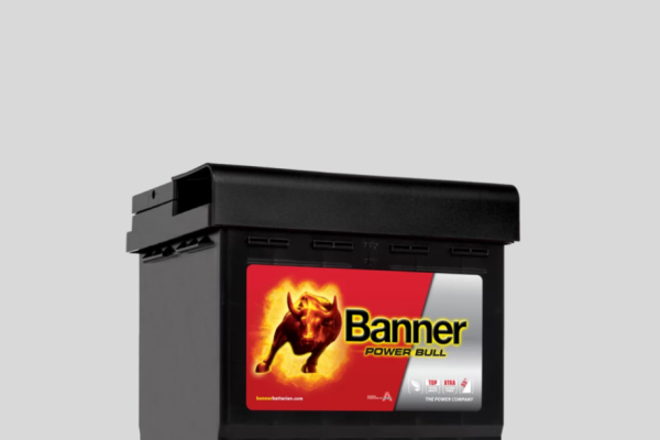 Ogłoszenie - Akumulator 50Ah 450A EN Banner Power Bull PRAWY PLUS DARMOWY DOWÓZ - Radom - 300,00 zł