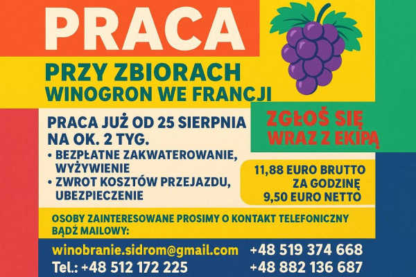 Ogłoszenie - WINOBRANIE FRANCJA