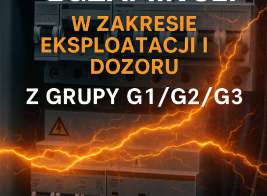 Ogłoszenie - Kurs wózki widłowe, suwnice, podesty, żurawie HDS, spawanie, SEP, CNC, BHP i inne Stalowa Wola, Nisko, Tarnobrzeg. Zdjęcie 9