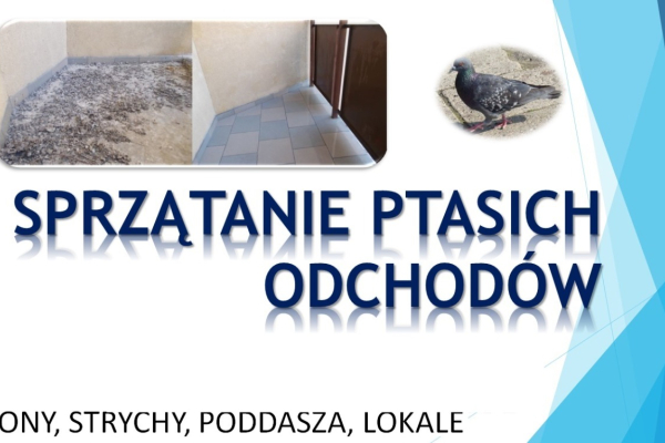 Ogłoszenie - Usługi sprzątania strychu, tel. 504-746-203, gołębich zanieczyszczeń, odchodów, Wrocław, cennik - Wrocław