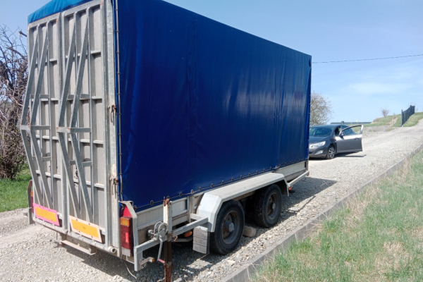 Ogłoszenie - Przyczepa 2-osiowa najazdowa SAM- DMC 6500kg. Zdjęcie 2