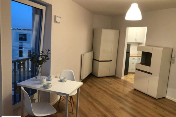 Ogłoszenie - 1pok, 30met, Pasaż Adolfa Radinga BALKON/WINDA (Wrocław). Zdjęcie 3