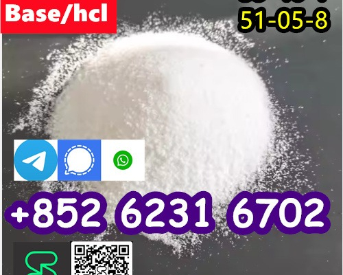 Ogłoszenie - selling Procaine base CAS 59-46-1 /51-05-8 / procaine hcl and base sale Holland. Zdjęcie 3