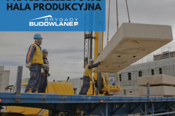 Ogłoszenie - Prace żelbetowe (hala produkcyjna) 1000m2 - Warszawa. Zdjęcie 1