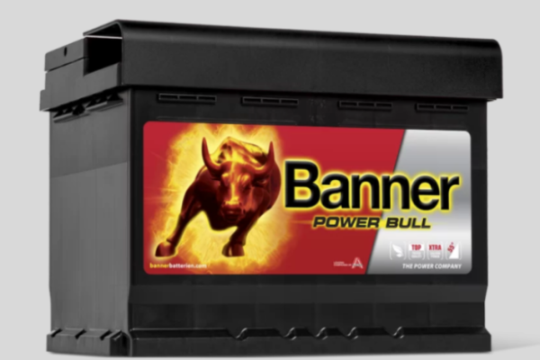 Ogłoszenie - Akumulator 60Ah 540A 12V Banner P6009 PŁOCK CHOPINA 1DARMOWA DOSTAWA. Zdjęcie 1