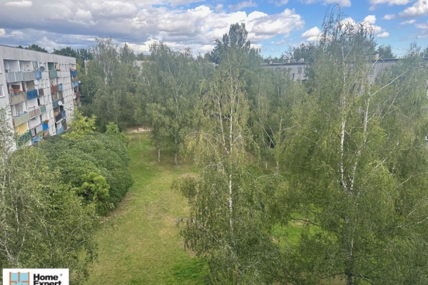 Ogłoszenie - 2pok, 36met, okolice Królewskiej BALKON/PIWNICA (Wrocław). Zdjęcie 10