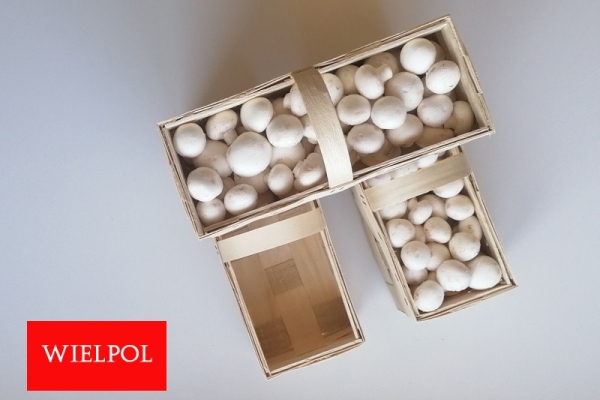Ogłoszenie - Opakowania do białych pieczarek / białej pieczarki. Zdjęcie 3