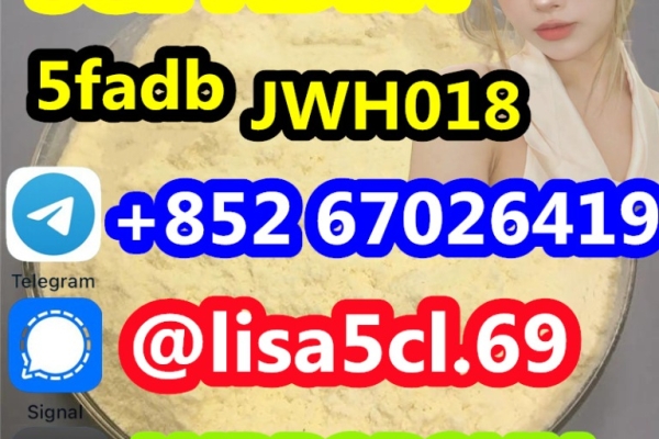 Ogłoszenie - strongest cannabis 5cladba powder 5cl-adb-a jwh-018 lowest price large stock,+852 67026419. Zdjęcie 1