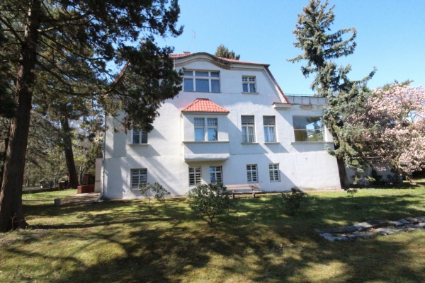 Ogłoszenie - 14pok, 300met, okolice Lipińskiego PIĘKNY OGRÓD/2 GARAŻE (Wrocław). Zdjęcie 3