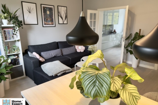 Ogłoszenie - 4pok, 80met, Okolice Okrzei BALKON/2PIWNICE/OGRÓD (Wrocław). Zdjęcie 2