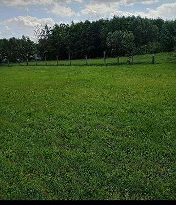 Ogłoszenie - Działka Budowlana (1251 m2) okolice Sobótki MEDIA. Zdjęcie 3