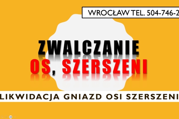 Ogłoszenie - Zwalczanie gniazd szerszeni, os cennik, tel. 504-746-203, Wrocław, działka, dom, strych altana. Zdjęcie 1