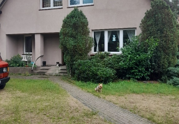Ogłoszenie - Sprzedam gospodarstwo. Zdjęcie 1
