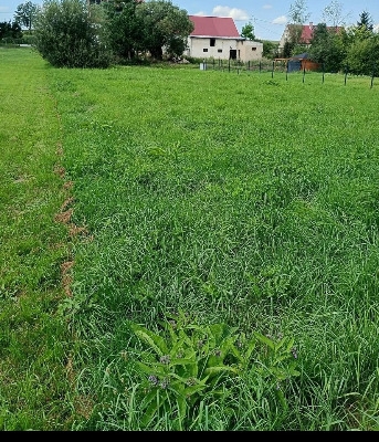 Ogłoszenie - Działka Budowlana (1251 m2) okolice Sobótki MEDIA. Zdjęcie 7