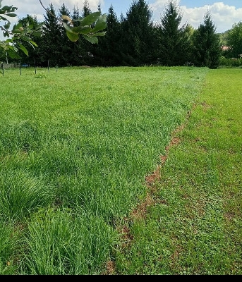 Ogłoszenie - Działka Budowlana (1251 m2) okolice Sobótki MEDIA. Zdjęcie 6