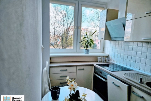 Ogłoszenie - 2pok, 39met, Okolice Poznańskiej PIWNICA/2WINDY/PARKING (Wrocław). Zdjęcie 6