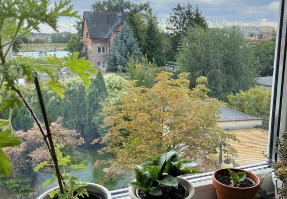 Ogłoszenie - 3pok, 72met, Okolice Zawalnej BALKON/KOMÓRKA/GARAŻ (Wrocław). Zdjęcie 8
