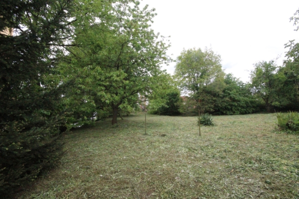 Ogłoszenie - 4pok, 85met, okolice Ziębic PIWNICA/GARAŻ/OGRÓD 2600m2 (Starczówek). Zdjęcie 2