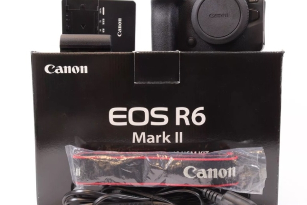 Ogłoszenie - Canon EOS R6 Mark II, Canon EOS R3, Canon EOS R5, Nikon Z9, Nikon Z8, Nikon Z 7II. Zdjęcie 7
