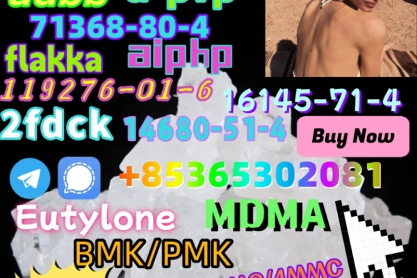 Ogłoszenie - Raw Materials 111982-50-4 Supplier Hot Sale And Good Effect In China. Zdjęcie 1