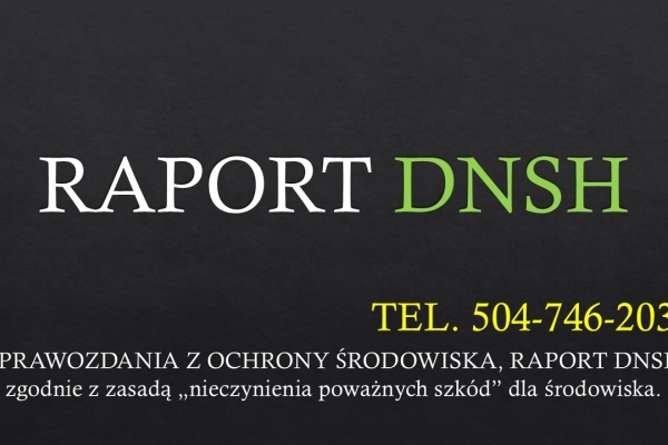 Ogłoszenie - Sprawozdanie DNSH, tel. 504-746-203,  raport „nie czyń znaczącej szkody”, cena. Zdjęcie 1