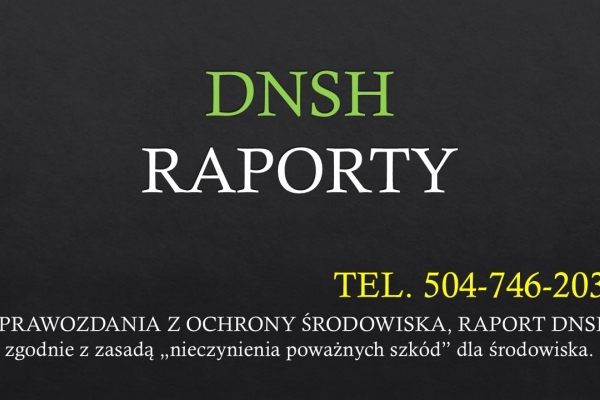Ogłoszenie - Raport DNSH dla projektu, tel. 504-746-203,  cena, zasada DNSH, ochrona środowiska. Zdjęcie 1