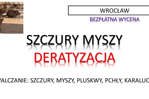 Ogłoszenie - Zwalczanie szczurów, gryzoni, deratyzacja i dezynfekcja, tel. 504-746-203, Wrocław, cennik. Zdjęcie 1