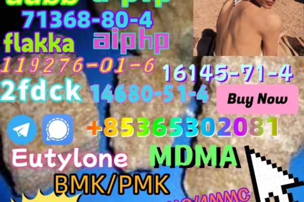 Ogłoszenie - Very high quality and factory supply bulk price!. Zdjęcie 2