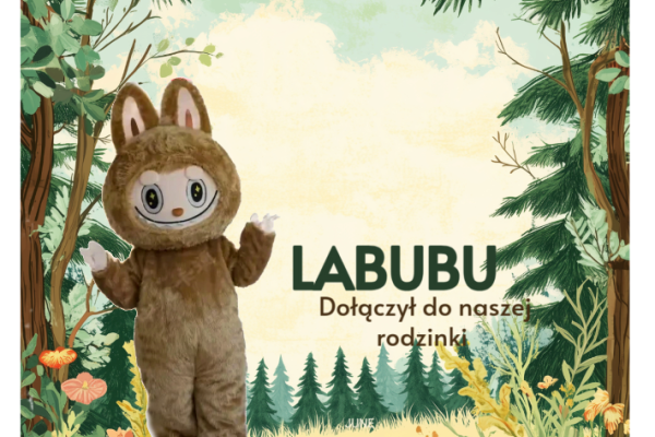 Ogłoszenie - Labubu urodziny dla dzieci -  podróż do świata nordyckich elfów, olbrzymów i magicznych stworzeń.. Zdjęcie 1