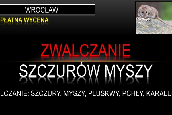 Ogłoszenie - Odszczurzanie, domu, budynku, Wrocław, tel. 504-746-203, cena, deratyzacja. Zdjęcie 1